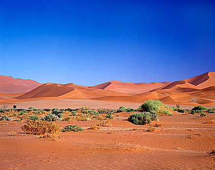 沙丘,纳米布沙漠,公园,纳米比亚