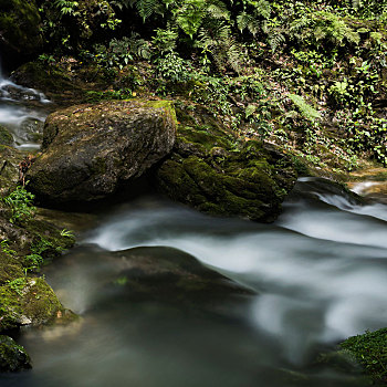 重庆五a级风景区黑山谷的溪流