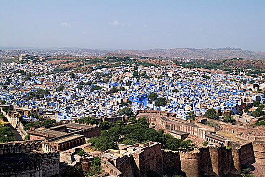 印度,蓝色,城市,展示,建筑,堡垒,拉贾斯坦邦