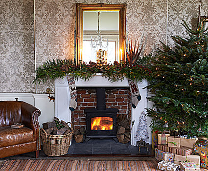 圣诞树,壁炉,客厅