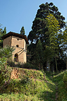 福建闽东屏南县黛溪镇古村落北墘村,古树柳杉