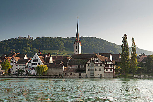 莱茵,中世纪,城镇,中心,后面,城堡,瑞士,欧洲