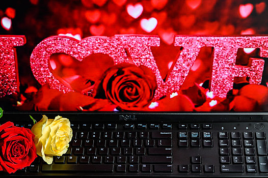 玫瑰花,电脑和键盘
