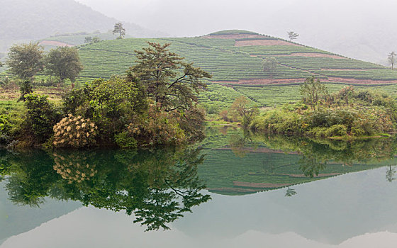 龙坞