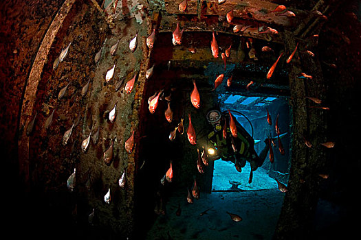 水中呼吸器,潜水,室内,残骸,六月,2000年,科苏梅尔,墨西哥,加勒比