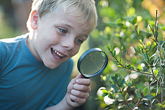 男孩,发现,植物,放大镜,花园