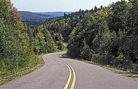 大路,道路,风,混合,木,树林,南方,加拿大地盾,劳伦琴山脉,摩利斯,国家公园,魁北克,加拿大