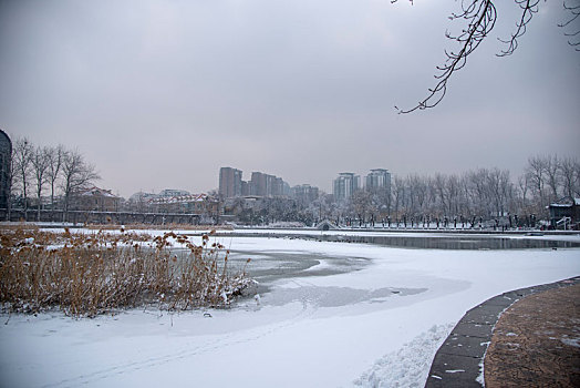 城市雪景