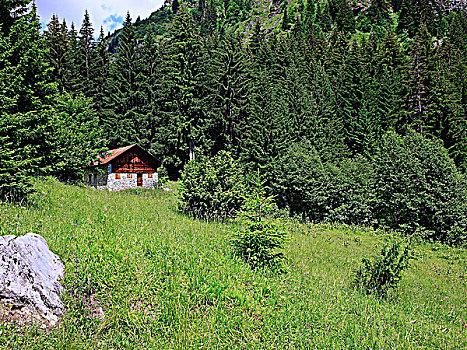 法国,阿尔卑斯山,上萨瓦省,木房子