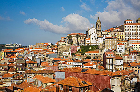 城市天际线,赤陶,屋顶,波尔图,葡萄牙