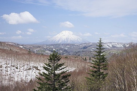 山