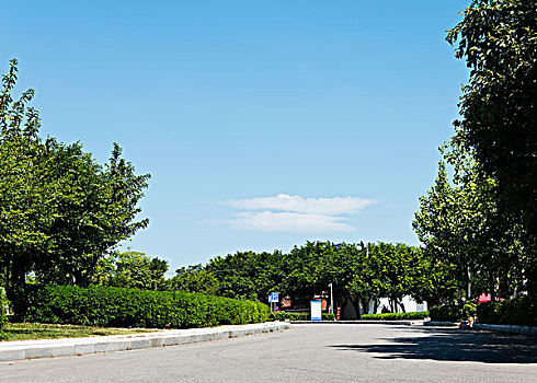 道路,天空,城市