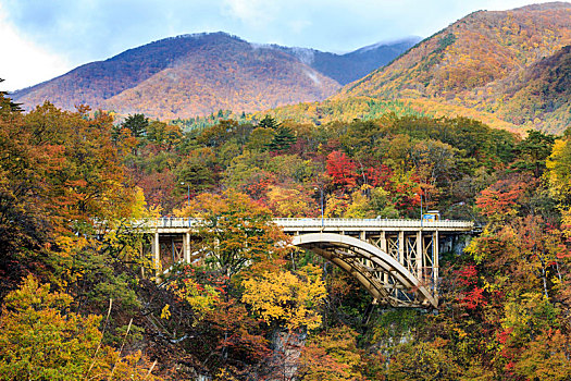 峡谷,秋叶,秋天,日本