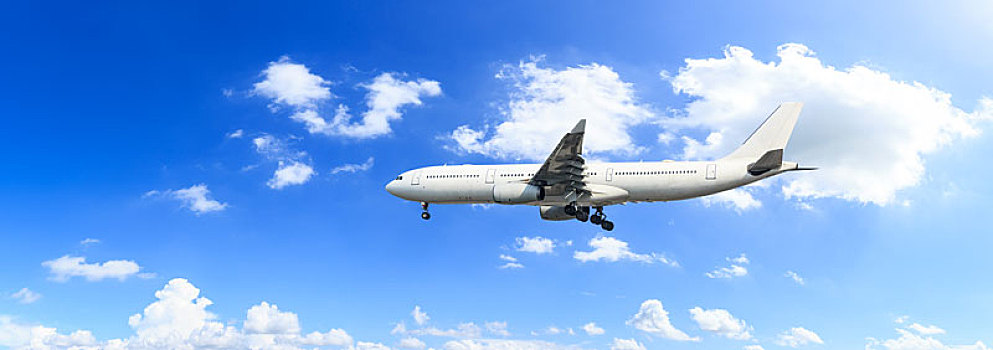 翱翔图片_翱翔图片大全_翱翔图片素材