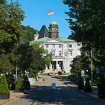红色,白色,旗帜,蓝天,上面,建筑,蒙特利尔,魁北克,加拿大