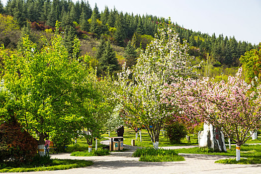 秦岭山国家植物园