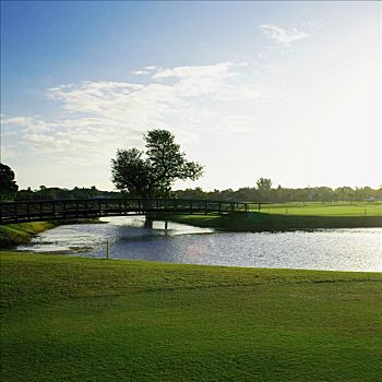 水塘,高尔夫球场,比尔提默高尔夫球场,珊瑚顶市,佛罗里达,美国