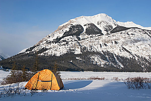 帐蓬,冬天,卡纳纳斯基斯县,艾伯塔省,加拿大