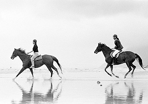 两个人,骑马,海滩,侧面视角