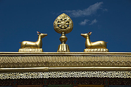 宗教,象征,顶端,寺院,查谟-克什米尔邦,印度