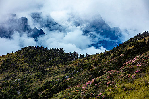 神农架,神农顶,风景,景点,旅游,高山,瀑布,河流,神秘,树木,植被,石头,鄂西,云海,峡谷,壮观