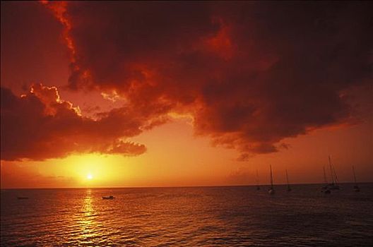 日落,上方,海洋,加勒比海
