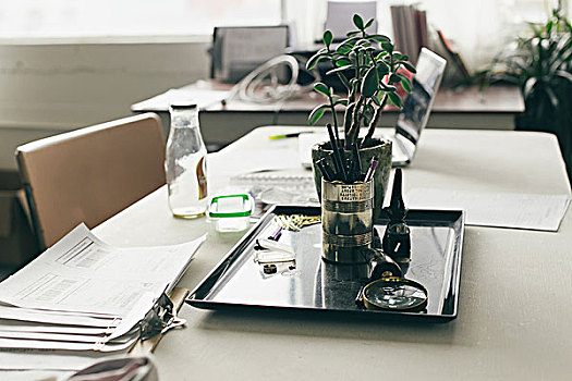 盆栽,文件,设计室,书桌