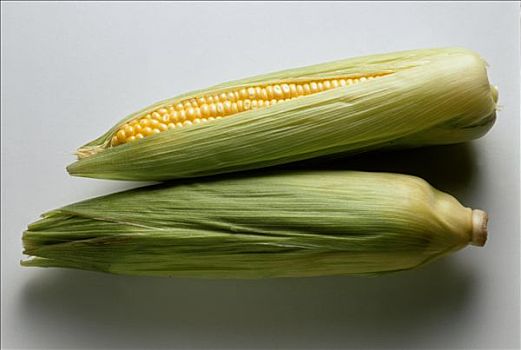 两个,玉米棒子,玉米叶,浅色背景
