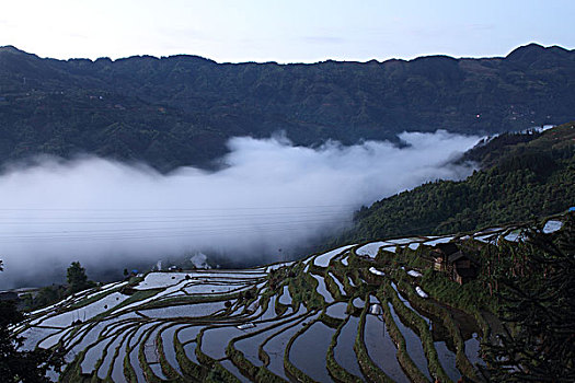 加榜梯田