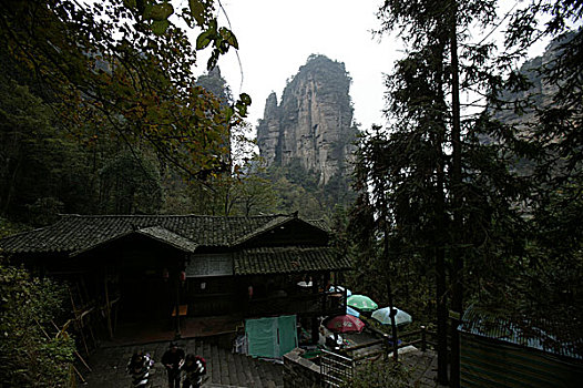 湖南张家界天子山国家森林公园