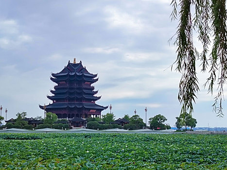 苏州市重元寺秋季风光