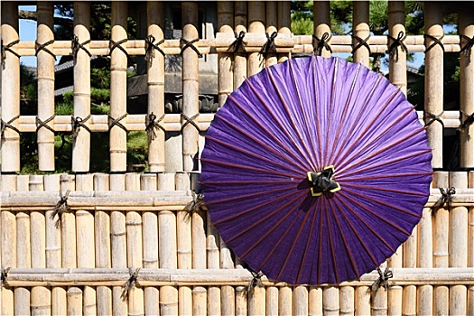 传统,日本,紫色,伞,竹子,栅栏