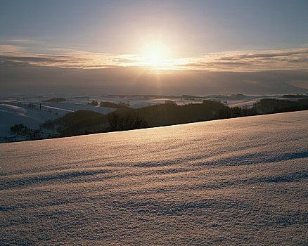 日出,雪原