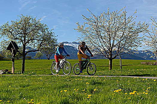 骑车,电,自行车,靠近,基姆湖,区域,上巴伐利亚,巴伐利亚,德国,欧洲