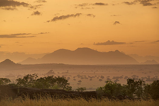 风景,山峦,背景,黎明,山谷,国家公园,乌干达
