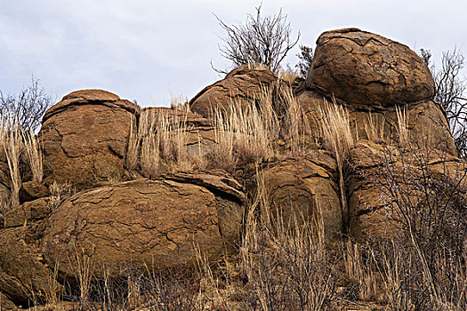 岩石构造,游戏,牧场,南非
