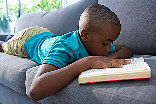 男孩,读,小说,躺着,沙发,在家,客厅