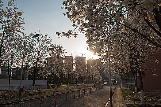 贵阳花溪区政府美景