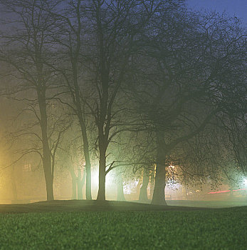 公园,夜晚,薄雾