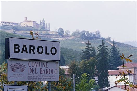 名字,巴罗洛葡萄酒,皮埃蒙特区,意大利