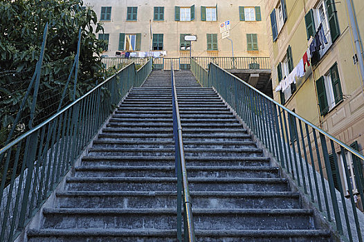 楼梯,卡莫利,省,热那亚,利古里亚,意大利