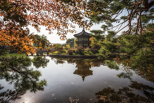 亭子,花园,秋叶,风景,景福宫,首尔,韩国