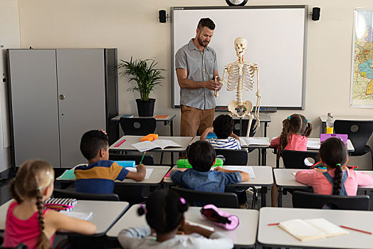 远处,景象,男性,教师,解释,人体骨骼,模型,教室