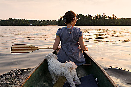 后视图,小狗,女人,独木舟,湖,木头,安大略省,加拿大