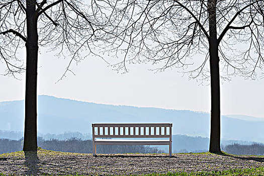 视点,白色,长椅,奥登瓦尔德,黑森州,德国