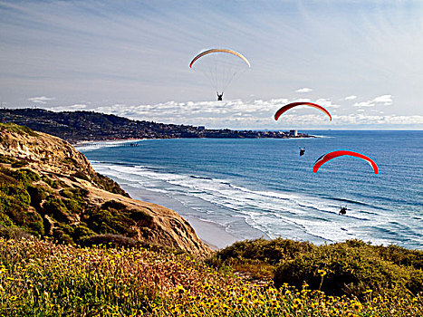 美国,加利福尼亚,滑翔伞运动者,漂浮,岸边