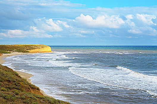 波浪,海岸,海滩,夏天