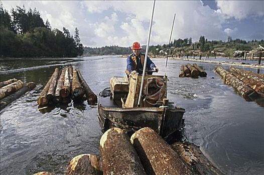 伐木工,俄勒冈,美国