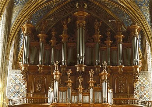 阿尔比,法国,琴乐器,大教堂