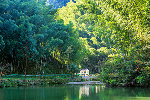 中国安徽省黟县木坑竹海景区青山绿水自然风光
